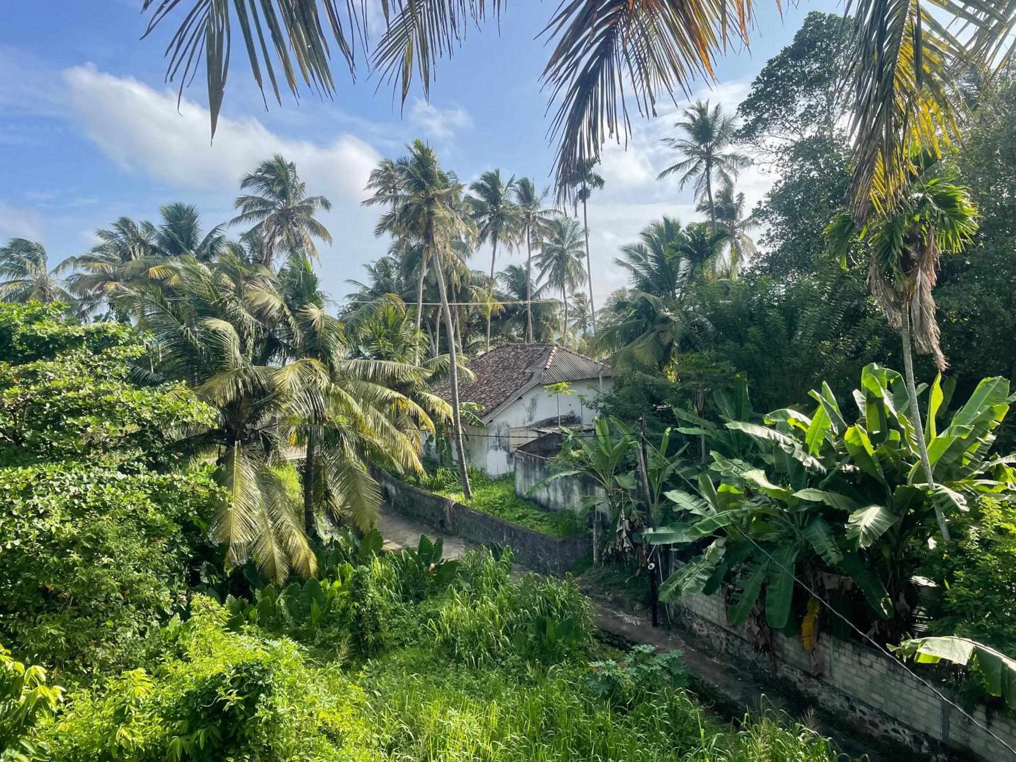 Serendipity Beach Unawatuna Bagian luar foto