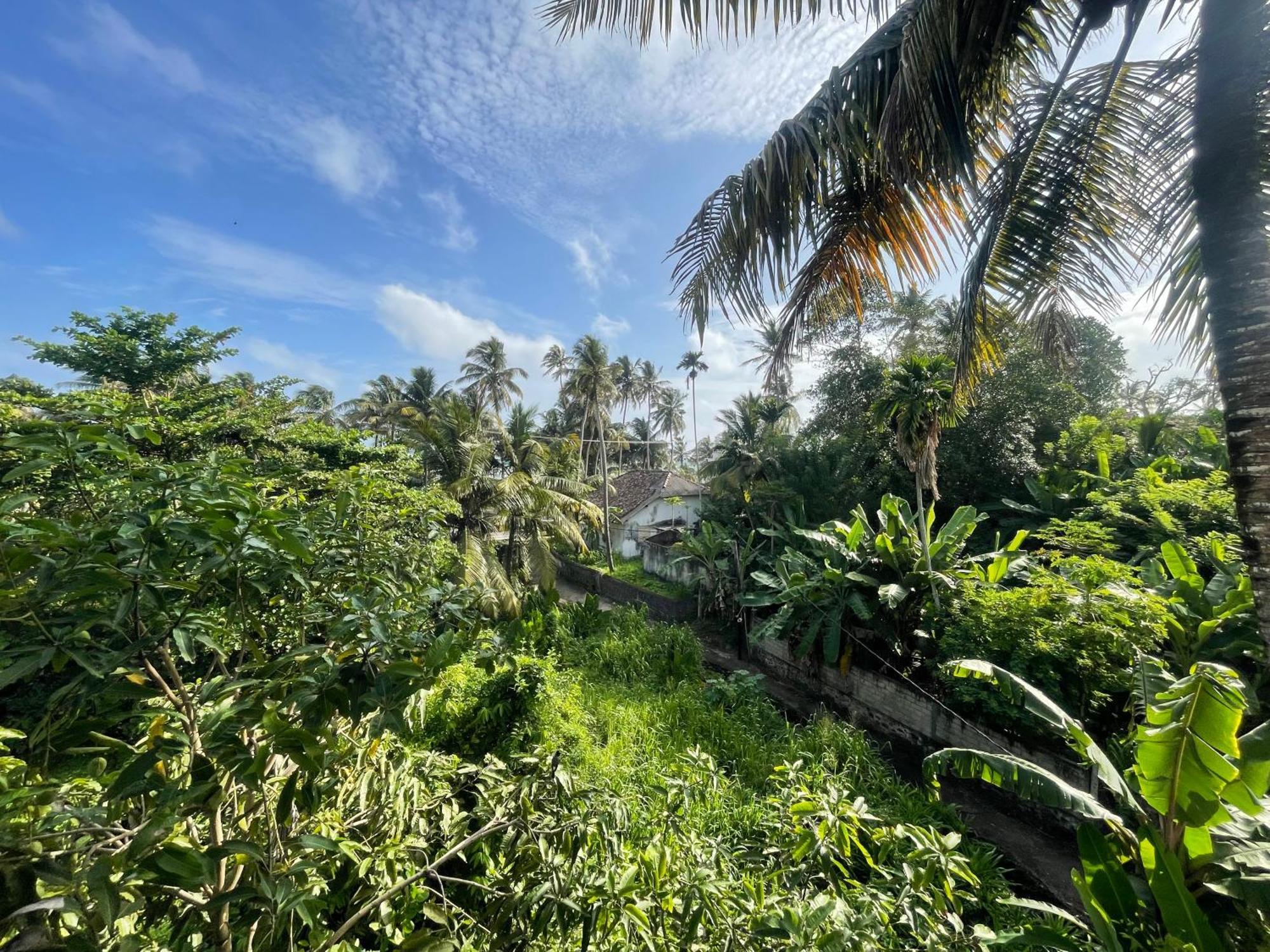 Serendipity Beach Unawatuna Bagian luar foto